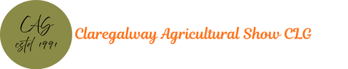website logo